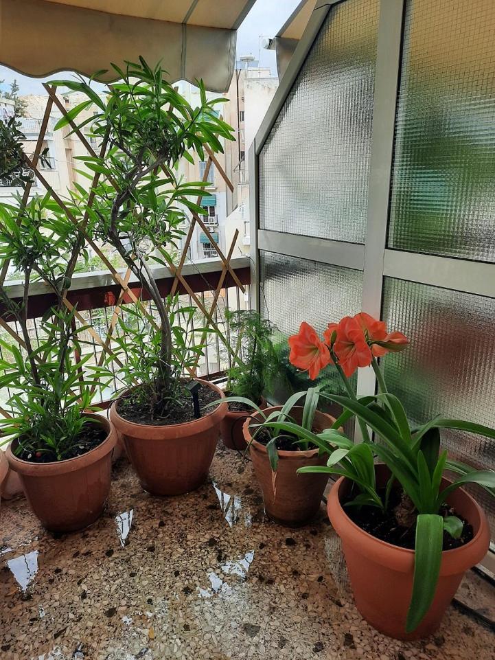 Private Spacious Floor Koukaki - Apartment Athen