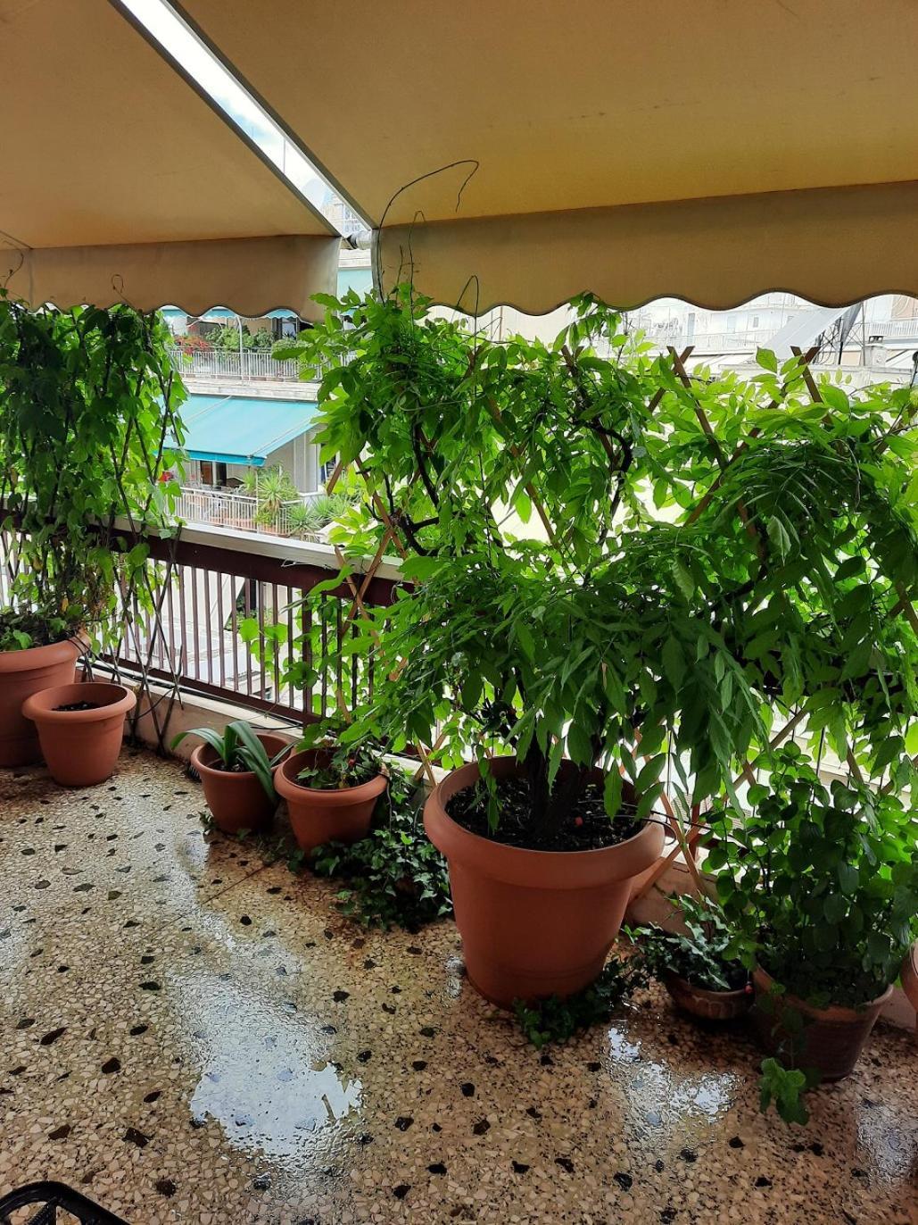 Private Spacious Floor Koukaki - Atena